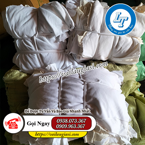 các bó giẻ lau trắng các bó giẻ lau trắng