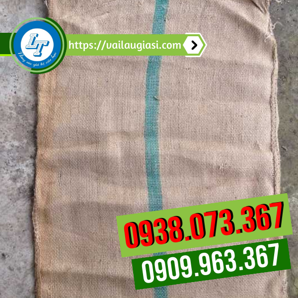 Bao bố trồng cây chất lượng Bao bố trồng cây chất lượng