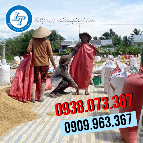 Sử dụng bao tải đỏ để đóng lúa gạo Sử dụng bao tải đỏ để đóng lúa gạo