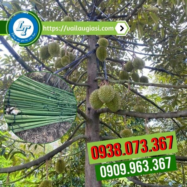 Ứng dụng của dây nilon đen trong nông nghiệp Ứng dụng của dây nilon đen trong nông nghiệp