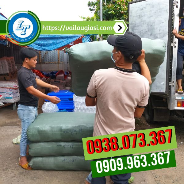 Chuyên sỉ đơn hàng găng tay Hướng Dương Chuyên sỉ đơn hàng găng tay Hướng Dương