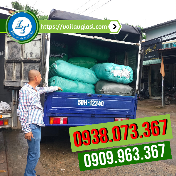 Đầu mối giẻ lau trắng Đầu mối giẻ lau trắng