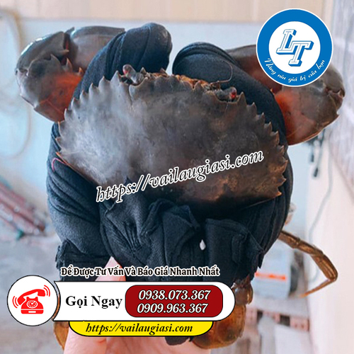 Dây cột cua hạn chế tình trạng gãy càng cua Dây cột cua hạn chế tình trạng gãy càng cua