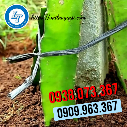 Dây nilon cố định cây trồng Dây nilon cố định cây trồng