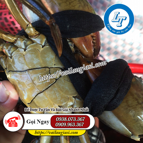 Ứng dụng của vải thun cột cua Ứng dụng của vải thun cột cua