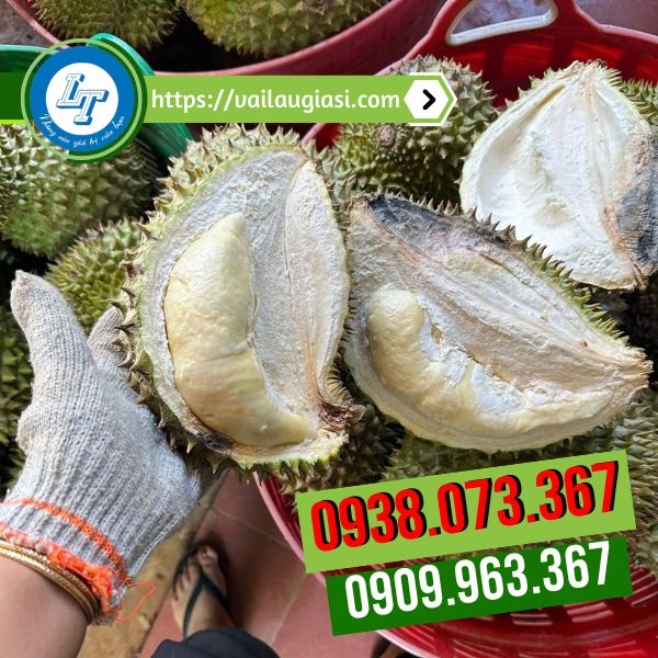 Ứng dụng của găng tay len kem 2 viền Ứng dụng của găng tay len kem 2 viền
