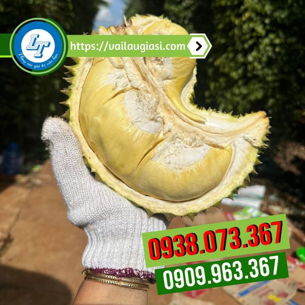 Ứng dụng bao tay trong đời sống Ứng dụng bao tay trong đời sống