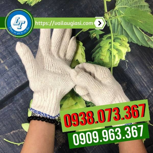 Găng tay len trắng ngà có độ co giãn tốt Găng tay len trắng ngà có độ co giãn tốt