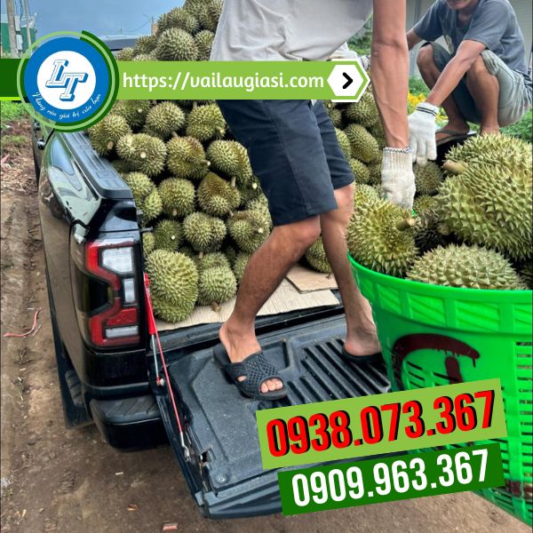 Ứng dụng của găng tay len kem trong khuân vác Ứng dụng của găng tay len kem trong khuân vác