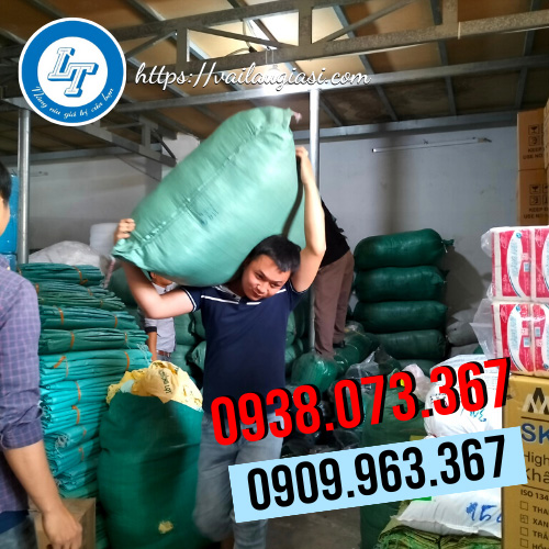 Giao hàng tất nữ Hàn Quốc Giao hàng tất nữ Hàn Quốc