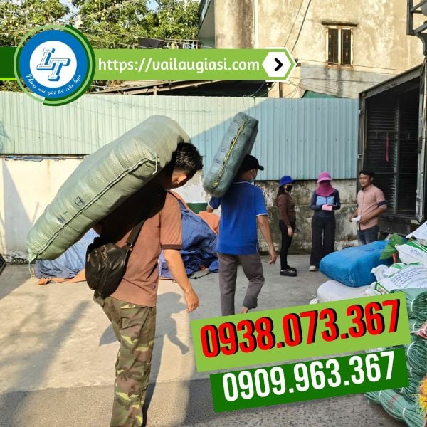 Giao sỉ các bao găng tay len kem 2 viền Giao sỉ các bao găng tay len kem 2 viền