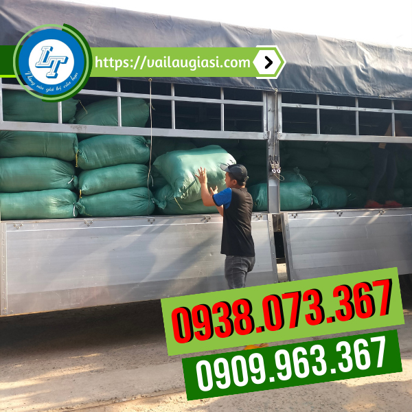 Giao sỉ giẻ lai cotton trắng sỉ rẻ Giao sỉ giẻ lai cotton trắng sỉ rẻ