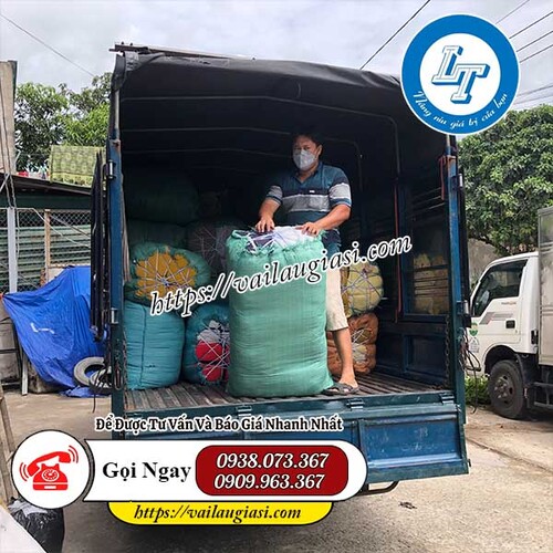 Giao giẻ lau trắng cỡ nhỏ Giao giẻ lau trắng cỡ nhỏ