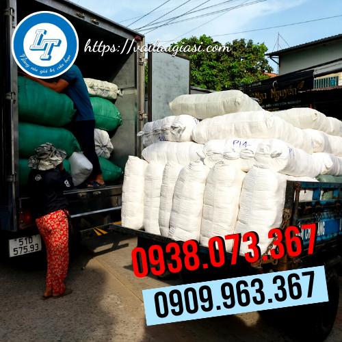 Giao sỉ số lượng bao tay poly Giao sỉ số lượng bao tay poly