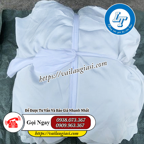 Giẻ lau trắng Giẻ lau trắng