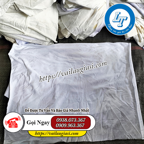 Giẻ lau trắng Giẻ lau trắng