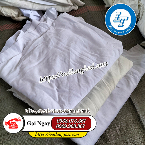 Giẻ lau trắng Giẻ lau trắng