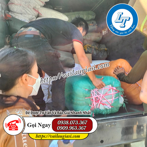 Miễn phí giao hàng giẻ lau trắng nguyên miếng Miễn phí giao hàng giẻ lau trắng nguyên miếng