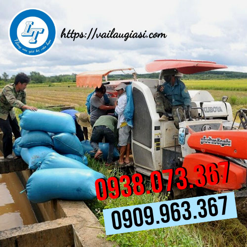 Sử dụng bao tải đựng lúa khi thu hoạch Sử dụng bao tải đựng lúa khi thu hoạch