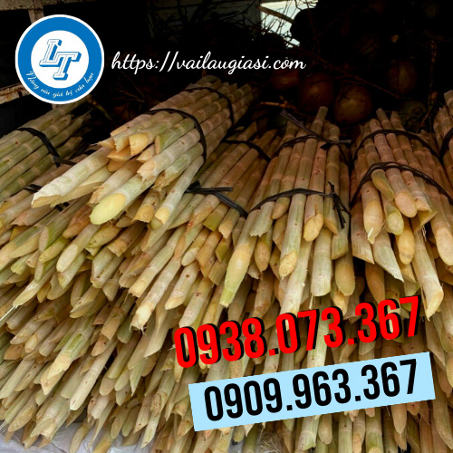 Sử dụng dây nilon bẹ xám bó mía đường Sử dụng dây nilon bẹ xám bó mía đường