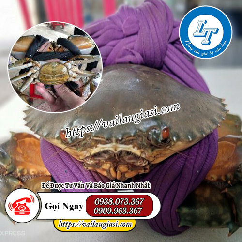 Dây vải cột cua Dây vải cột cua