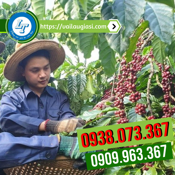 Ứng dụng của găng tay len thời trang Ứng dụng của găng tay len thời trang