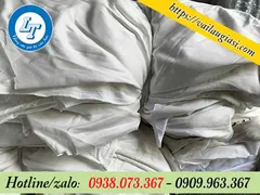 CUNG CẤP GIẺ LAU TRẮNG GIÁ SỈ