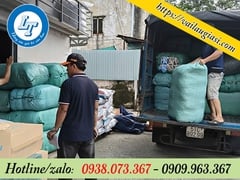 GIẺ LAU GIÁ SỈ GIÁ RẺ KHU VỰC HCM