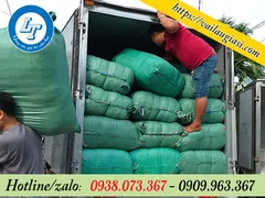 GIẺ LAU MIẾNG BÁN KG GIÁ SỈ RẺ