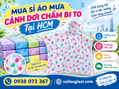 MUA SỈ ÁO MƯA CÁNH DƠI CHẤM BI TO TẠI HCM