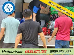 NGUỒN SỈ DÂY NILON KẼM KHÔ GIÁ RẺ– NHẬN ĐƠN HÀNG LỚN TOÀN QUỐC