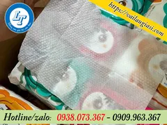 NHÀ PHÂN PHỐI SỈ SỐ LƯỢNG KHĂN ƯỚT GẤU TRÚC HCM