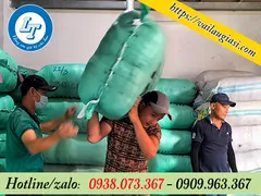 PHÂN PHỐI SỈ RẺ GIẺ LAU NGUYÊN MIẾNG KHÔNG MAY