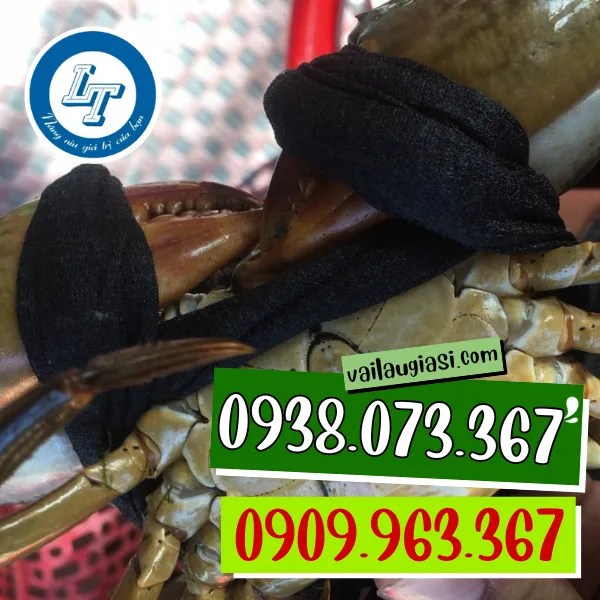 DÂY VẢI CỘT CUA