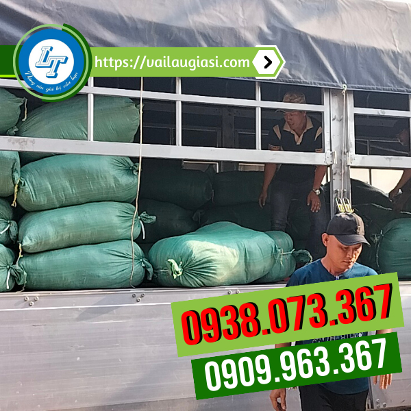 Tìm đầu mối giẻ lau cotton trắng Tìm đầu mối giẻ lau cotton trắng