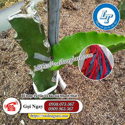 Ứng dụng của dây cột trụ tiêu Ứng dụng của dây cột trụ tiêu