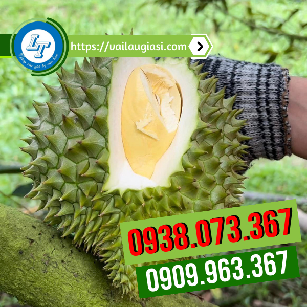 Ứng dụng của găng tay muối tiêu Ứng dụng của găng tay muối tiêu