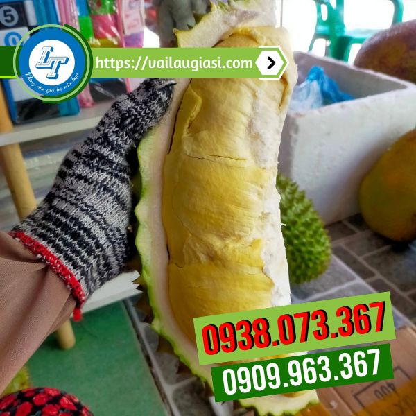 Ứng dụng của găng tay muối tiêu trong đời sống Ứng dụng của găng tay muối tiêu trong đời sống