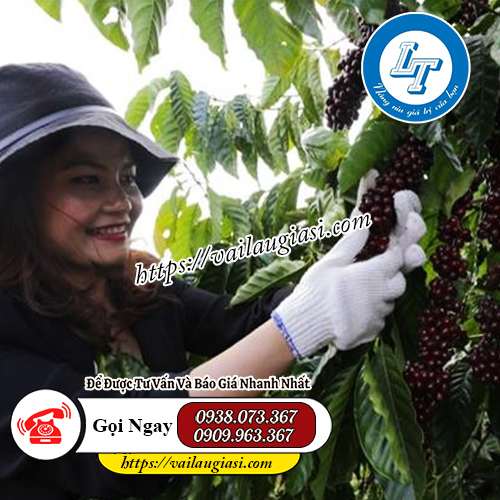 Ứng dụng trong nông nghiệp của găng tay len kem Ứng dụng trong nông nghiệp của găng tay len kem