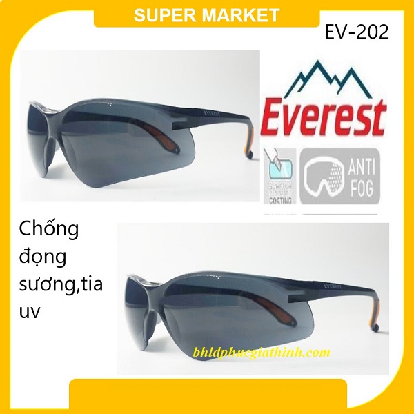 KÍNH BẢO HỘ EVEREST EV202 MÀU ĐEN