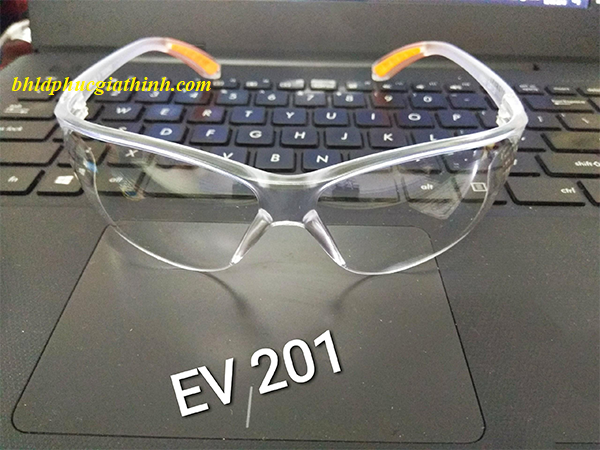 KÍNH BẢO HỘ EVEREST EV201