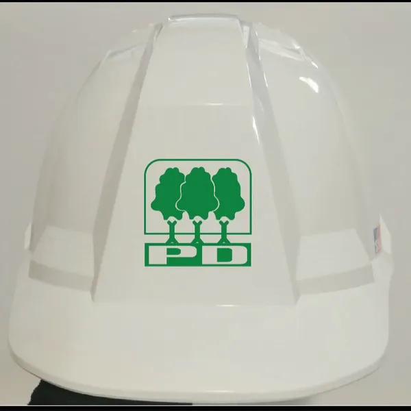 In logo trực tiếp lên nón bảo hộ lao động