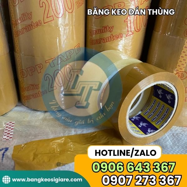 BĂNG KEO TRONG ĐỤC GIÁ SỈ PHÂN PHỐI BĂNG KEO ĐÁ GÀ 10 CÂY/HỘP