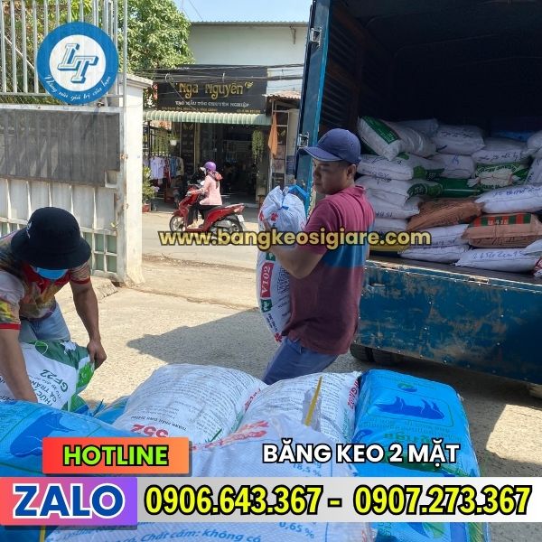 BĂNG KEO 2 MẶT DÁN TƯỜNG HIỆU QUẢ GIÁ SỈ GIÁ RẺ BĂNG KEO 2 MẶT DÁN TƯỜNG HIỆU QUẢ GIÁ SỈ GIÁ RẺ