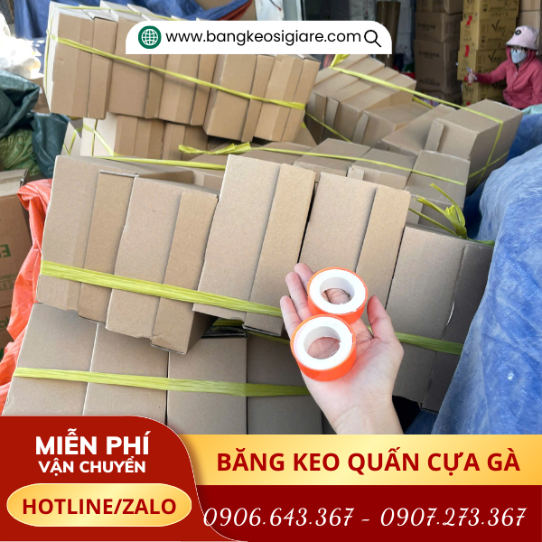 Băng keo đá gà đóng hộp số lượng lớn tại kho Băng keo đá gà đóng hộp số lượng lớn tại kho