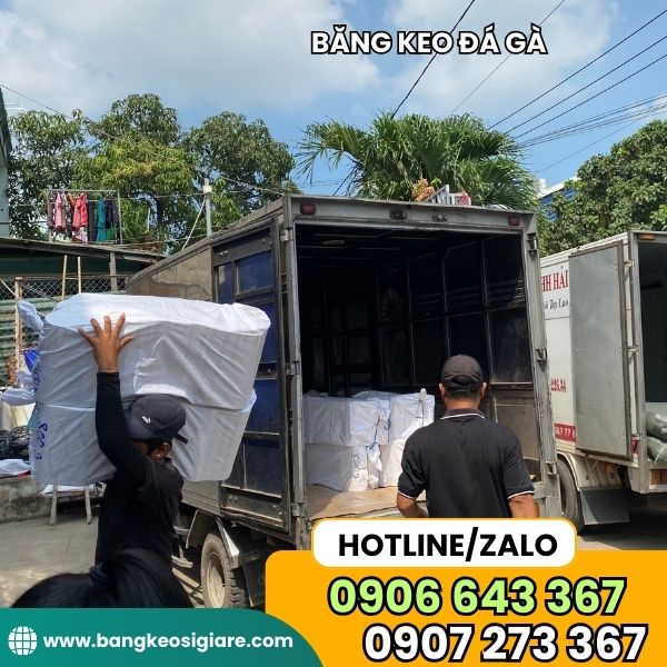 PHÂN PHỐI BĂNG KEO ĐÁ GÀ 10 CÂY/HỘP băng keo đá gà giao hàng tận nơi