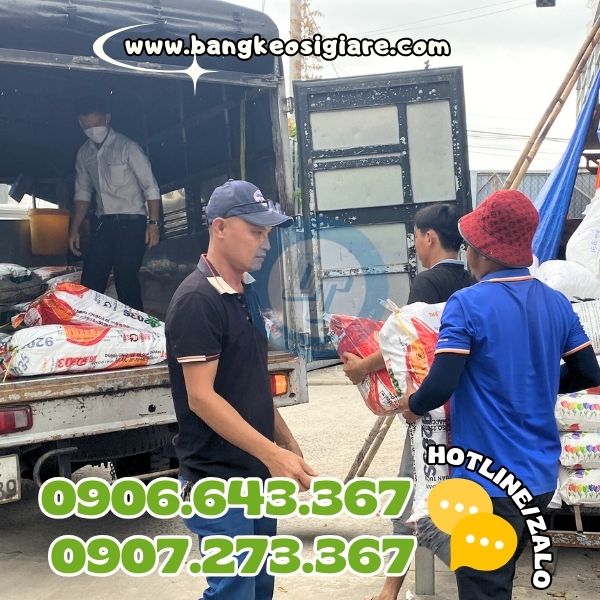 Sỉ băng keo chúc mừng năm mới nền vàng đẹp mắt Sỉ băng keo chúc mừng năm mới nền vàng đẹp mắt