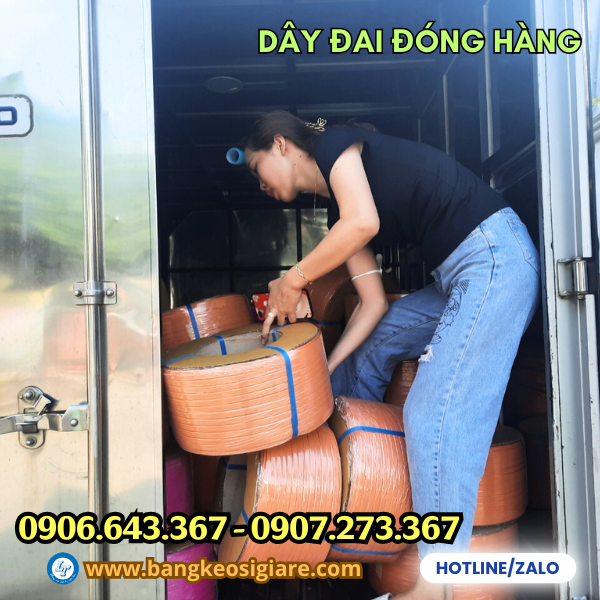 nhà phân phối sỉ và cung cấp dây đai chất lượng nhà phân phối sỉ và cung cấp dây đai chất lượng