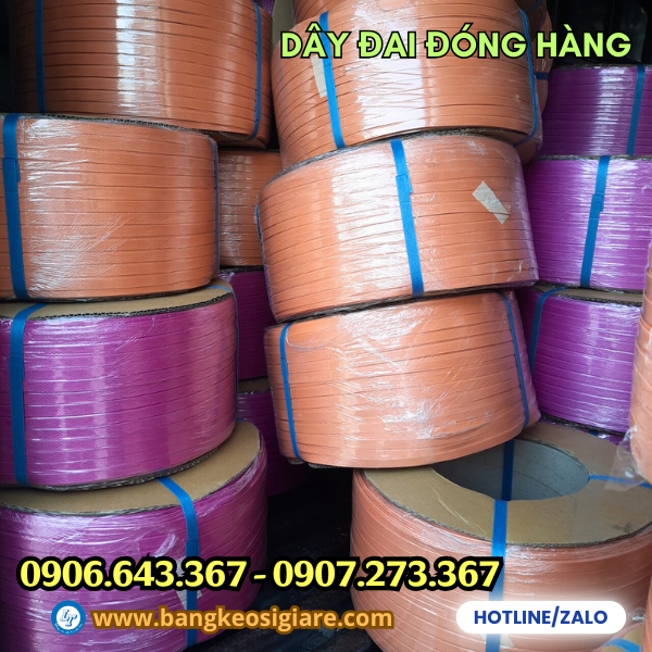 Dây đai PP đa dạng màu sắc Dây đai PP đa dạng màu sắc