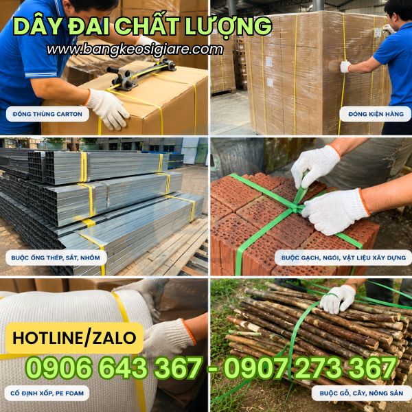 Dây đai đóng hàng chịu lực giá sỉ tại TPHCM Dây đai nhựa ứng dụng đóng hàng đa dạng